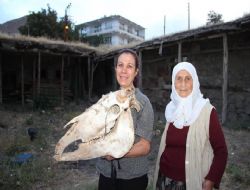 Oltulu kahramandan sadakat örneği
