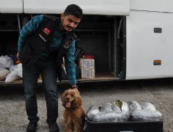 Otobüsten 21 kilo esrar çıktı