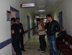 Yine Kurban Bayramı, yine acemi kasap olayı