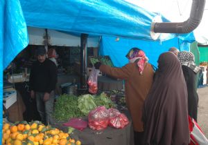 Soğuk, pazarcıları mağdur etti
