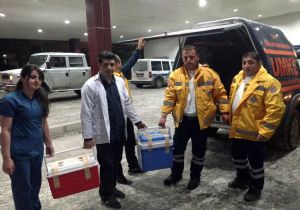 Giresun'dan Erzurum'a umut taşıdılar