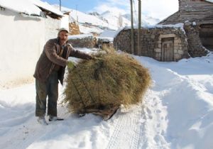 Çatak köyünde kızaklı yaşam
