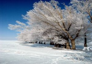 Erzurum kırağı tablosuna dönüştü
