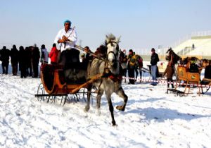 5 takım atlı kızakta yarıştı