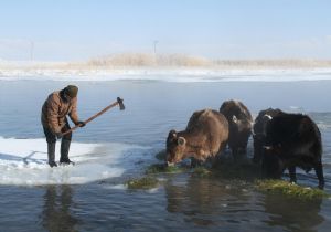 Doğu'dan Alaska manzaraları