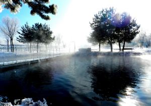 Kar ve buz sanatın teması oldu