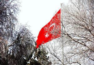 Erzurum'da kırağı tablosu