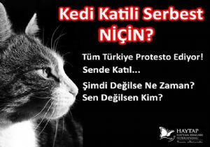Hayvan Cinayetlerine Dur De!