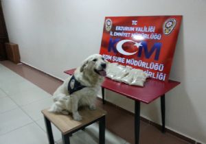 Uyuşturucu satıcısı tutuklandı