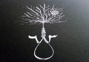 İdam zulmüne hattat tepkisi