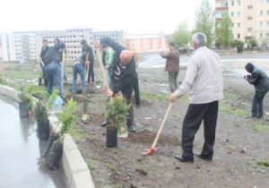 Şehid işçiler için fidan diktiler