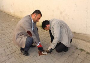 Oltu esnafından merhamet örneği