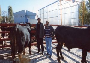 Pasinler hayvan pazarı da kapatıldı