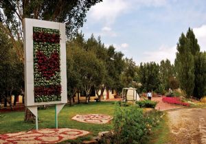 Yılmaz dikey bahçe uygulamasını anlattı