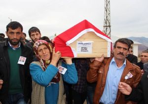 Şenkayalı Aile araştırma istedi