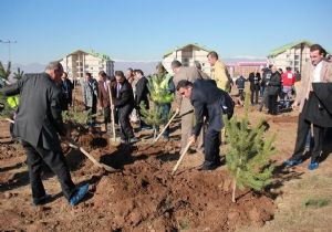 ‘Bir Kan Bir Fidan'