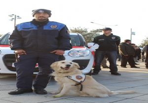 Erzurum'da Narkotim Projesi 