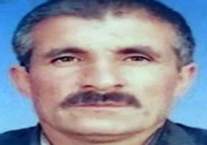 Çiriş toplarken ayı saldırısına uğradı