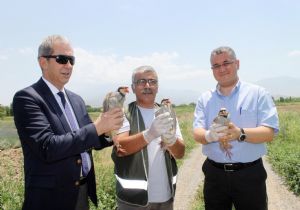 Kaçak avcılıkla etkin mücadele