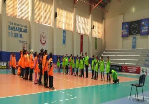 Mavi Kartaneleri Yaz Okulunda