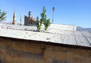 Pasinler Camii Kebir'de ibretlik manzara
