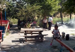 Erzurum'da piknikçilere kene uyarısı