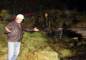 Hainler bu kez çiftçinin umudunu söndürdü