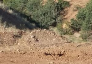 Yola döşenen bomba imha edildi