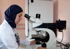 BEAH'ta genetik seferberliği