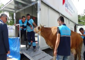 Büyükşehir'den ‘Mobil' hizmet