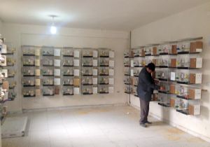 Pasinler'de yeni üretim alanı 