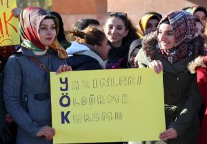 Üniversitelilerden formasyon tepkisi