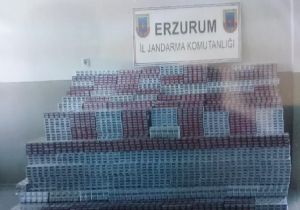 Jandarma kaçakçılara göz açtırmıyor