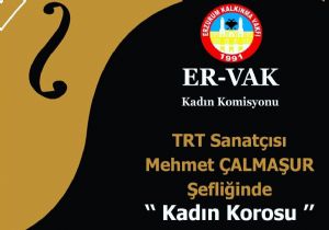 ERVAK'tan Sanat Atılımı