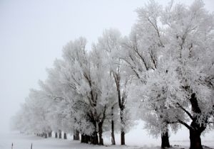 Erzurum kırağıyla bezendi