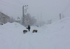 Yedisu'da kar esareti 