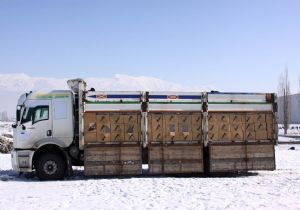 151 bin paket kaçak sigara ele geçirildi