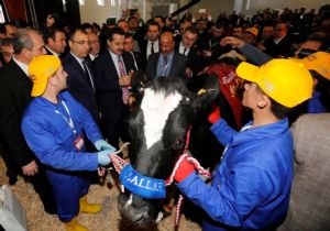 Tarım Fuarı'nda Erzurum damgası