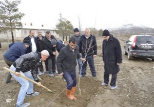DAP İdaresi'nden meyvecilik yatırımı