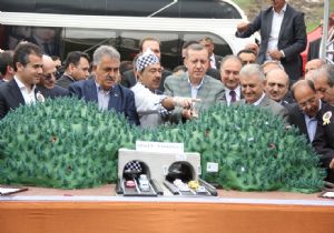 Ovit'te geri sayım…