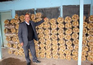 SYDV üreticinin imdadına yetişti