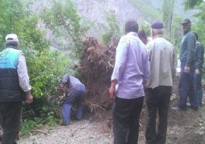 İspir'de fırtına ağaçları kökünden söktü