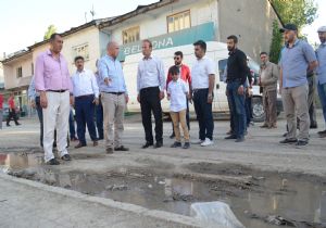 Ilıcalı, Hınıslılarla istişare etti