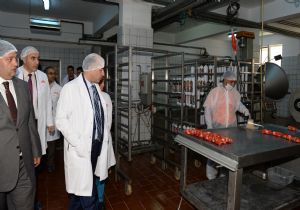 Vali Azizoğlu'ndan marka vurgusu