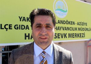 Türkiye'nin kurbanlıkları Erzurum'dan