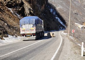 229 bin araç denetlendi