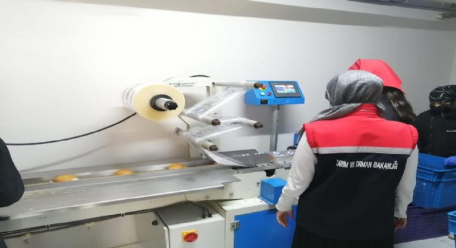 230 gıda işletmesi denetlendi