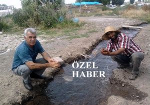 ‘Allah bize haramı nasip etmesin'