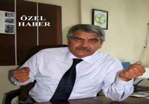 Doğu tarımında ‘Organik Umut'