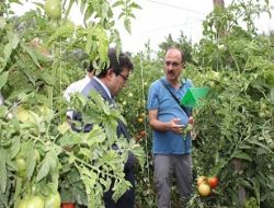 Tarımsal üretimde bölgesel atılım